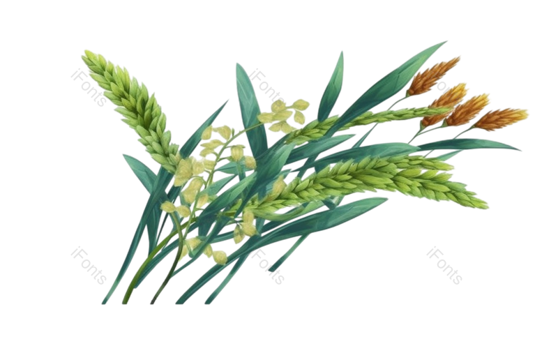 叶子图片,芒种元素,元素PNG,卡通免抠素材